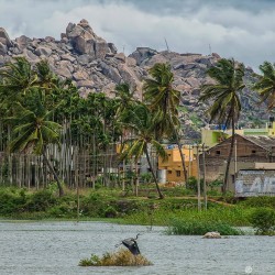 Athirappilly Tour From Cochin 2N/3D